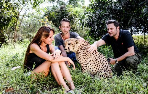 Cheetah’s Rock Wildlife Rescue Center